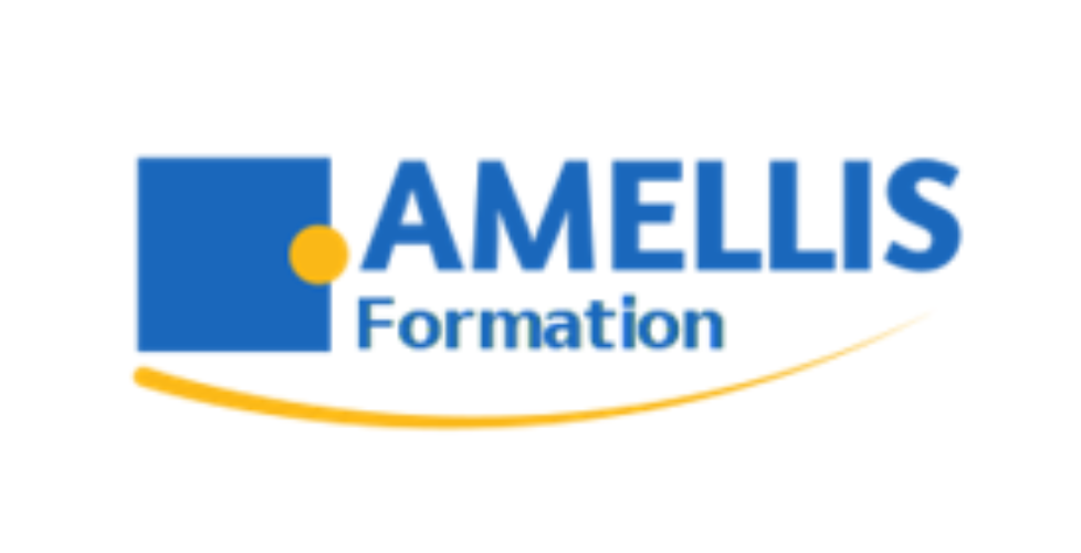 hex1-service-amellisformation